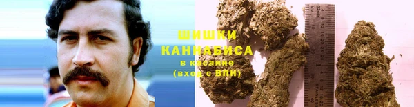 кокс Белокуриха