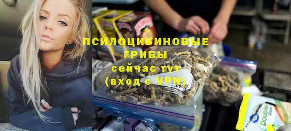 ALPHA PVP Беломорск