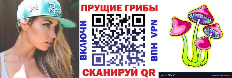 Галлюциногенные грибы Psilocybe  Плёс 